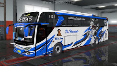 HR Patas HR Patas